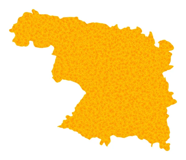 Carte vectorielle de l'or de la province de Zamora — Image vectorielle