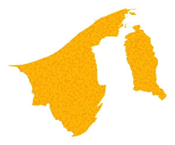 Χρυσός Διανυσματικός Χάρτης του Μπρουνέι — Διανυσματικό Αρχείο