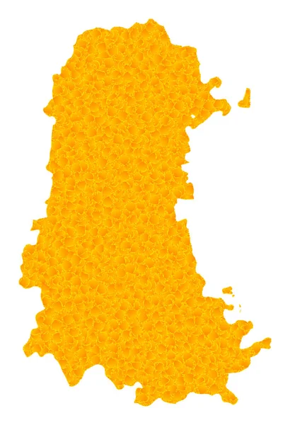 Palencia Province 의 Golden Vector Map — 스톡 벡터