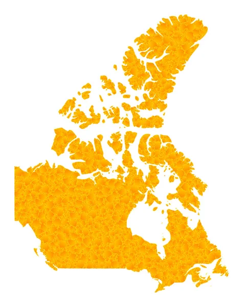 Gold Vector Map of Canada — 스톡 벡터