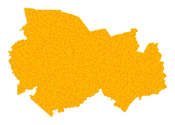 Gold Vector Map of Novosibirsk Region — Stock Vector