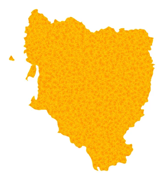 Zlatá vektorová mapa provincie Hueska — Stockový vektor