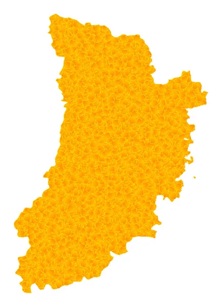 Lleida Province 의 Gold Vector Map — 스톡 벡터