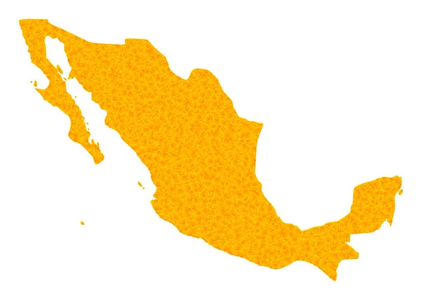 Mapa do Vetor de Ouro do México —  Vetores de Stock