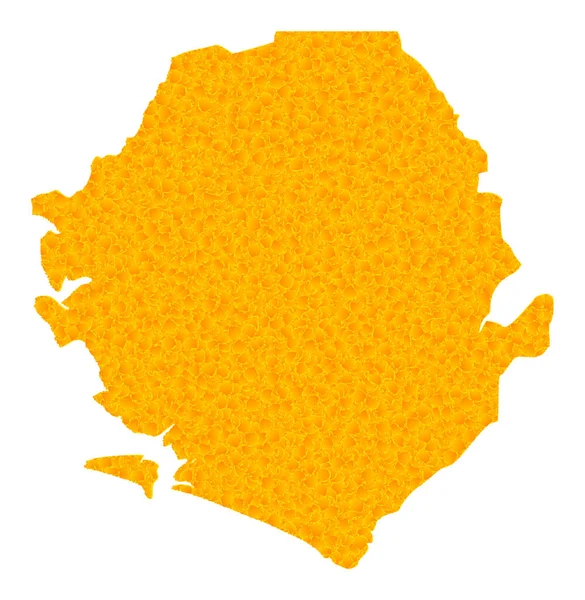 塞拉利昂黄金向量图 — 图库矢量图片