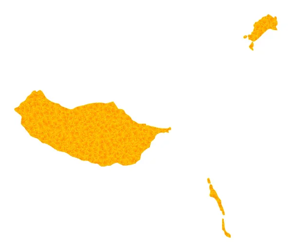 Mapa vectorial de oro de las islas de Madeira — Vector de stock