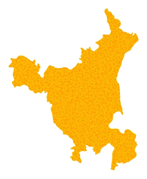 Haryana State 의 Golden Vector Map — 스톡 벡터