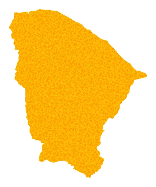 Mappa vettoriale d'oro dello stato di Ceara — Vettoriale Stock