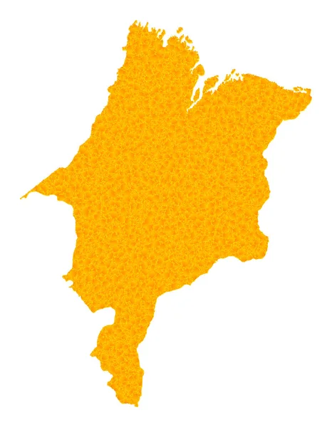Maranhao State 의 Gold Vector Map — 스톡 벡터