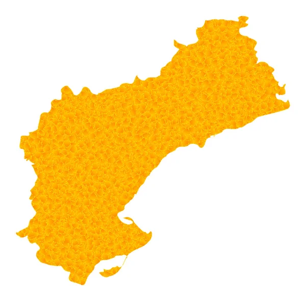 Mappa Vettoriale d'Oro della Provincia di Tarragona — Vettoriale Stock