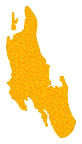 ザンジバル島の金ベクトルマップ — ストックベクタ