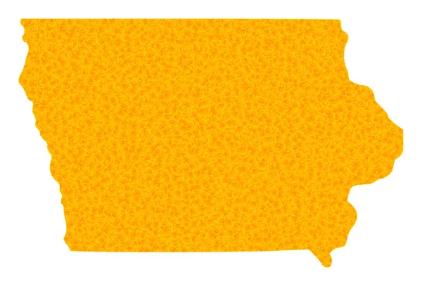 Mapa vectorial de oro del estado de Iowa — Vector de stock