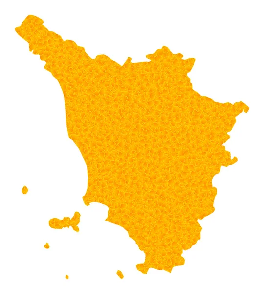 Toskana Bölgesi Altın Vektör Haritası — Stok Vektör