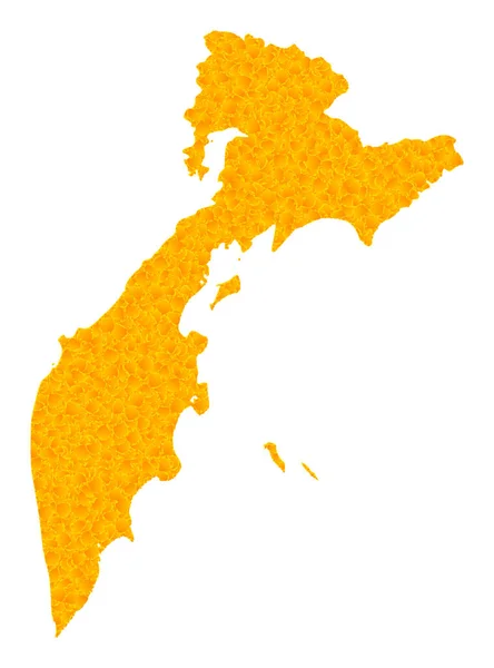 캄차카 반 도의 황금색 벡터 지도 — 스톡 벡터