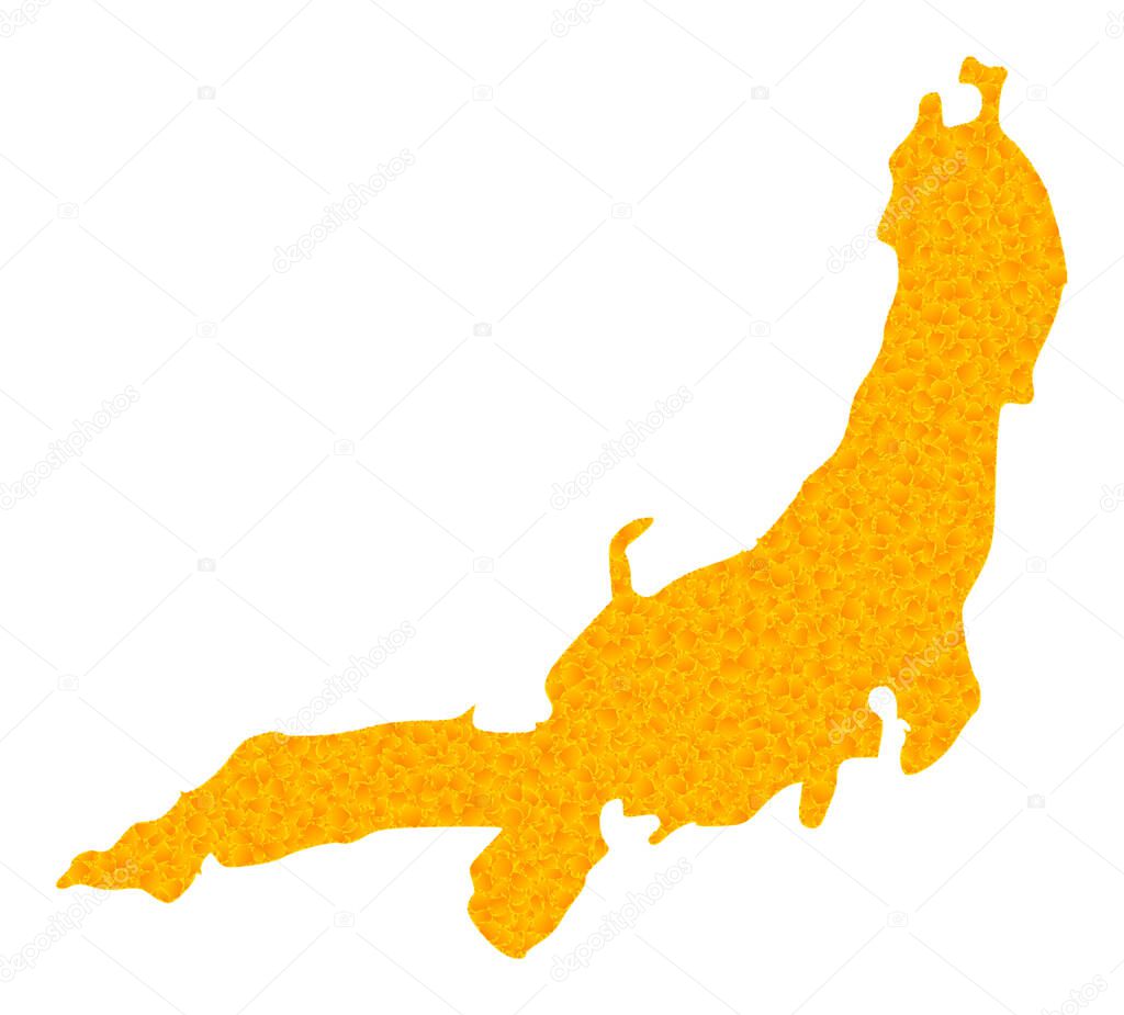 Gold Vector Map of Honshu Island