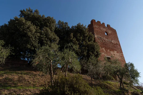 Fucecchio Park Corsini Ufortyfikowane Wieże Zdominowany Przez Majestat Torre Grossa — Zdjęcie stockowe