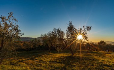 Molise, Adriyatik Denizi 'ne bakan bir İtalyan bölgesidir. Abruzzo Ulusal Parkı 'nın zengin vahşi yaşam ve patikaları olan Appennine dağ sırasındaki bir bölümünü içerir..