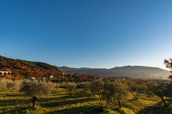 Molise Italian Region Stretch Coast Overlooking Adriatic Sea Includes Part — Stock Photo, Image