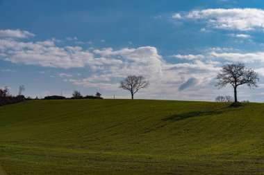 Molise, Adriyatik Denizi kıyısında uzanan bir İtalyan dağlık bölgesidir. Apennine Dağları 'ndaki Abruzzo Milli Parkı' nın zengin bir kısmını kapsıyor..