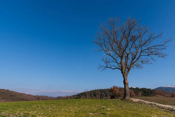 Molise Ist Eine Italienische Bergregion Mit Einem Küstenabschnitt Mit Blick — Stockfoto