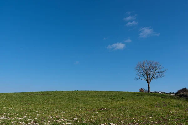 Molise Ist Eine Italienische Bergregion Mit Einem Küstenabschnitt Mit Blick — Stockfoto