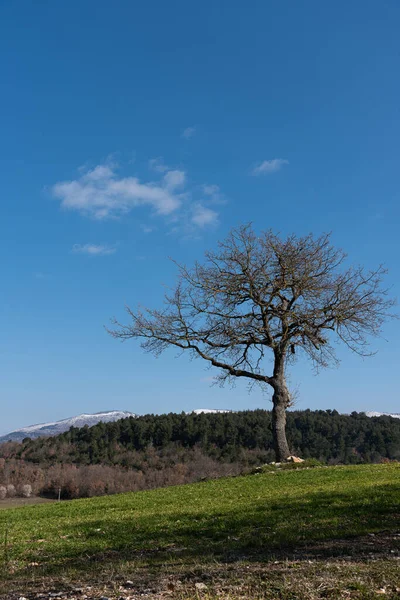 Molise Ist Eine Italienische Bergregion Mit Einem Küstenabschnitt Mit Blick — Stockfoto