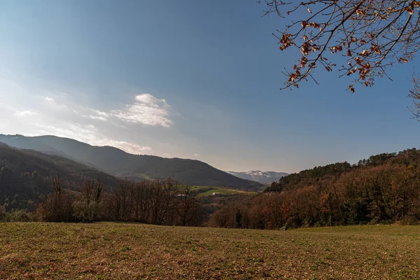 モリーズはイタリアの山岳地帯で アドリア海を見下ろす海岸線が広がっています アペニン山脈のアブルッツォ国立公園の一部で 豊かな野生動物が含まれています — ストック写真