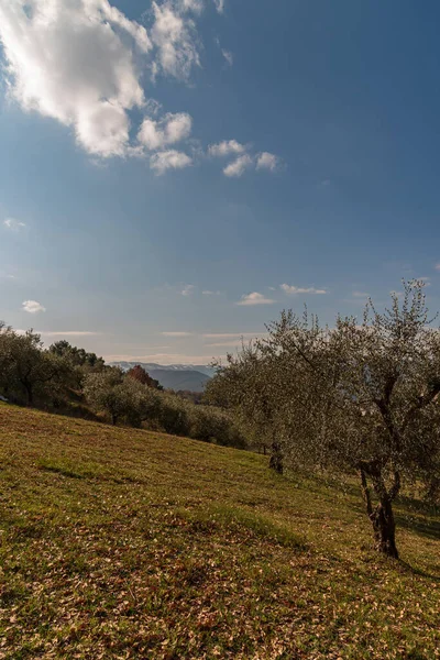 Molise Ist Eine Italienische Bergregion Mit Einem Küstenabschnitt Mit Blick — Stockfoto