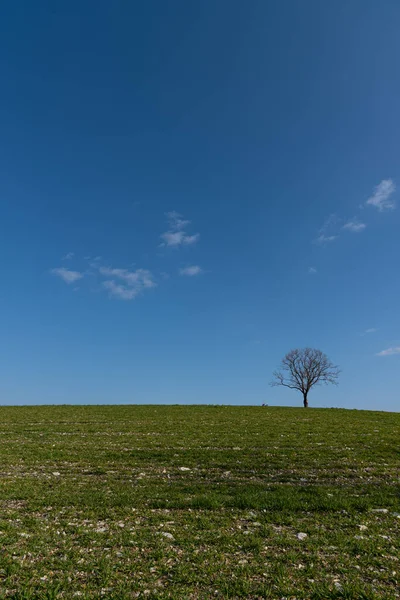 Molise Ist Eine Italienische Bergregion Mit Einem Küstenabschnitt Mit Blick — Stockfoto