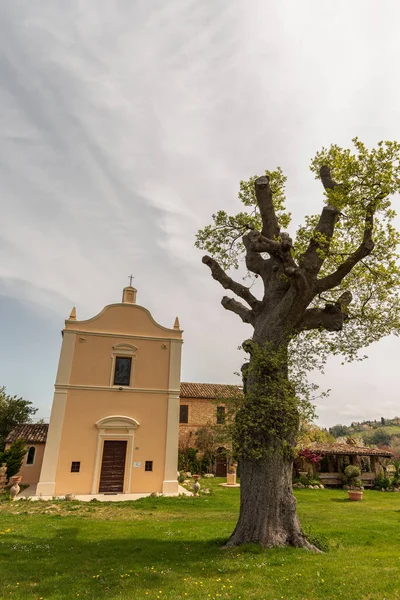 Small Clearing Foot Mount Ascension Sanctuary Madonna Della Consolazione Montemisio — Foto de Stock