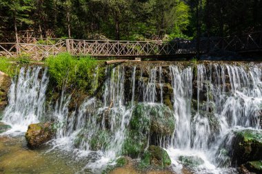 Doğal selvi ormanı, Zappini ormanındaki Fontegreca kasabasından Sava Nehri vadisine kadar uzanır. Çok sağlıklı havası olan turistler için bir tatil yeri..