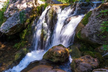 Doğal selvi ormanı, Zappini ormanındaki Fontegreca kasabasından Sava Nehri vadisine kadar uzanır. Çok sağlıklı havası olan turistler için bir tatil yeri..