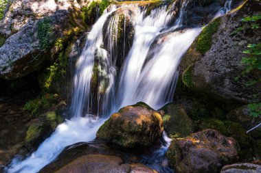 Doğal selvi ormanı, Zappini ormanındaki Fontegreca kasabasından Sava Nehri vadisine kadar uzanır. Çok sağlıklı havası olan turistler için bir tatil yeri..