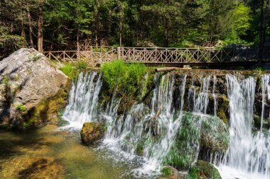 Doğal selvi ormanı, Zappini ormanındaki Fontegreca kasabasından Sava Nehri vadisine kadar uzanır. Çok sağlıklı havası olan turistler için bir tatil yeri..