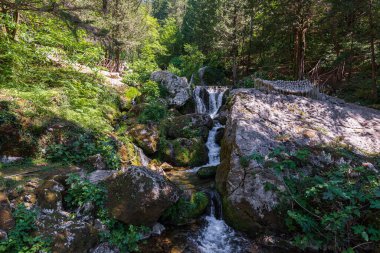 Doğal selvi ormanı, Zappini ormanındaki Fontegreca kasabasından Sava Nehri vadisine kadar uzanır. Çok sağlıklı havası olan turistler için bir tatil yeri..
