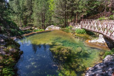Doğal selvi ormanı, Zappini ormanındaki Fontegreca kasabasından Sava Nehri vadisine kadar uzanır. Çok sağlıklı havası olan turistler için bir tatil yeri..
