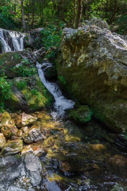 Doğal selvi ormanı, Zappini ormanındaki Fontegreca kasabasından Sava Nehri vadisine kadar uzanır. Çok sağlıklı havası olan turistler için bir tatil yeri..