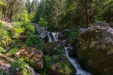 Doğal selvi ormanı, Zappini ormanındaki Fontegreca kasabasından Sava Nehri vadisine kadar uzanır. Çok sağlıklı havası olan turistler için bir tatil yeri..