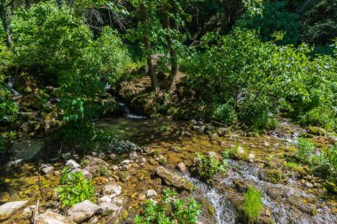 Doğal selvi ormanı, Zappini ormanındaki Fontegreca kasabasından Sava Nehri vadisine kadar uzanır. Çok sağlıklı havası olan turistler için bir tatil yeri..