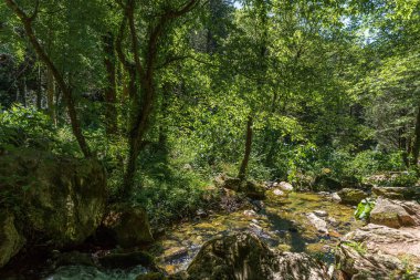 Doğal selvi ormanı, Zappini ormanındaki Fontegreca kasabasından Sava Nehri vadisine kadar uzanır. Çok sağlıklı havası olan turistler için bir tatil yeri..