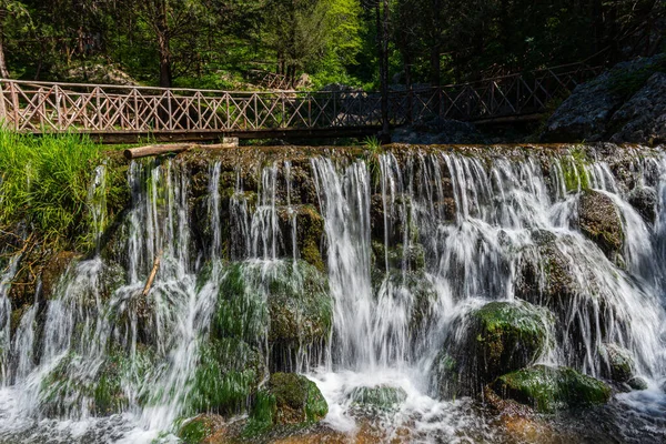 Floresta Cipreste Natural Estende Acima Cidade Fontegreca Madeira Zappini Até — Fotografia de Stock