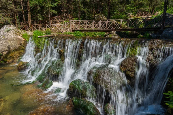 Doğal Selvi Ormanı Zappini Ormanındaki Fontegreca Kasabasından Sava Nehri Vadisine — Stok fotoğraf