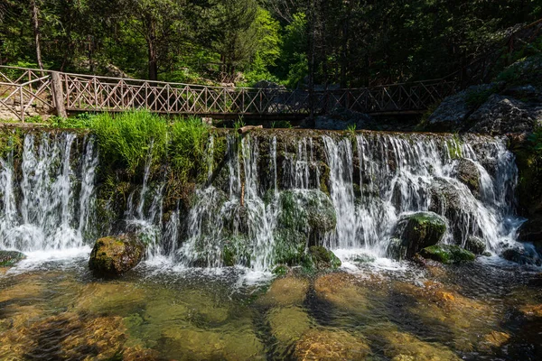 Floresta Cipreste Natural Estende Acima Cidade Fontegreca Madeira Zappini Até — Fotografia de Stock