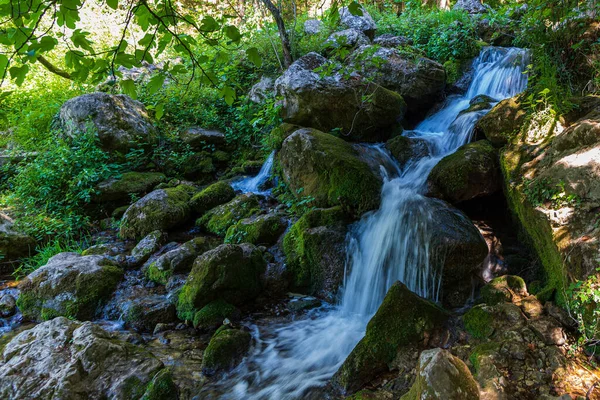 Den Naturliga Cypress Skogen Sträcker Sig Över Staden Fontegreca Zappini — Stockfoto
