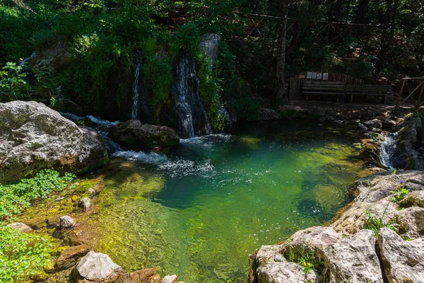 Floresta Cipreste Natural Estende Acima Cidade Fontegreca Madeira Zappini Até — Fotografia de Stock