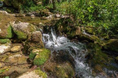 Doğal selvi ormanı, Zappini ormanındaki Fontegreca kasabasından Sava Nehri vadisine kadar uzanır. Çok sağlıklı havası olan turistler için bir tatil yeri..