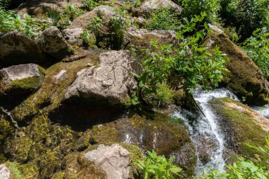 Doğal selvi ormanı, Zappini ormanındaki Fontegreca kasabasından Sava Nehri vadisine kadar uzanır. Çok sağlıklı havası olan turistler için bir tatil yeri..