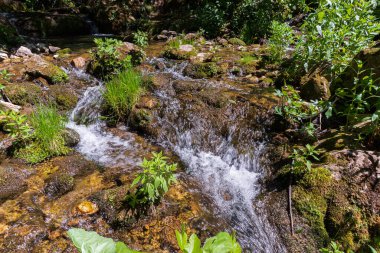 Doğal selvi ormanı, Zappini ormanındaki Fontegreca kasabasından Sava Nehri vadisine kadar uzanır. Çok sağlıklı havası olan turistler için bir tatil yeri..