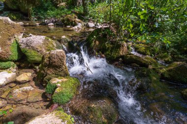 Doğal selvi ormanı, Zappini ormanındaki Fontegreca kasabasından Sava Nehri vadisine kadar uzanır. Çok sağlıklı havası olan turistler için bir tatil yeri..