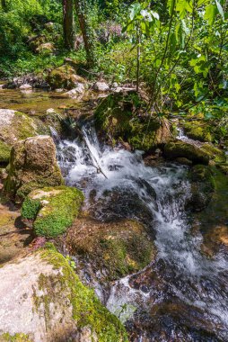 Doğal selvi ormanı, Zappini ormanındaki Fontegreca kasabasından Sava Nehri vadisine kadar uzanır. Çok sağlıklı havası olan turistler için bir tatil yeri..